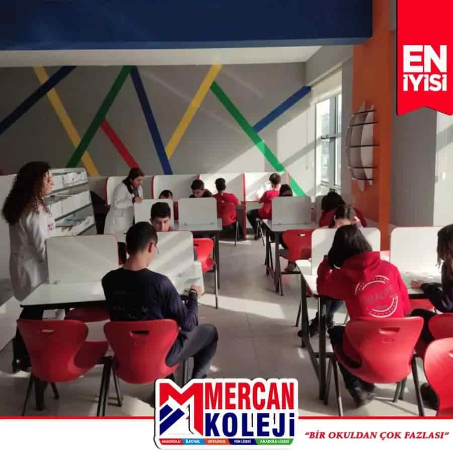 Anadolu Lisesi