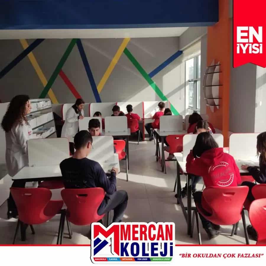 Anadolu Lisesi